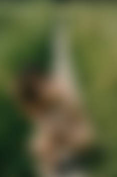 Romina