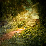 Old Stairway by inObrAS