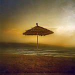 Senseless Morning Umbrella by inObrAS