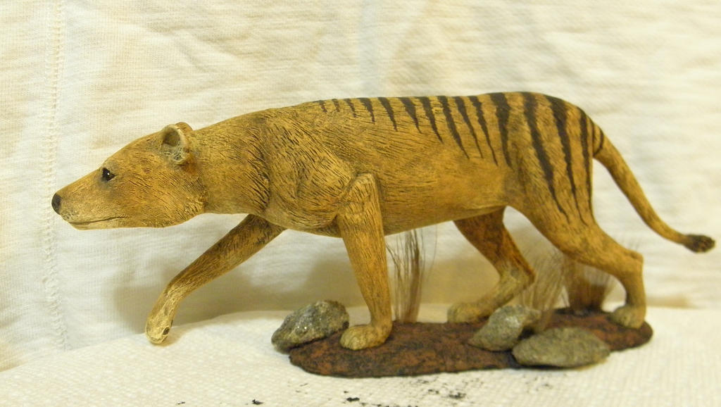 Tasmanian Tiger