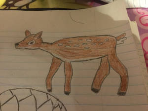 BRYCE'S LIL DEER