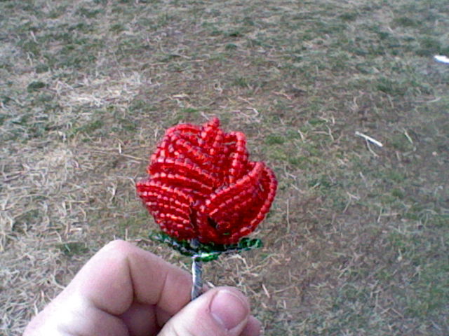 Red Beaded Rose