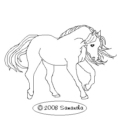 Free Equine Lines4