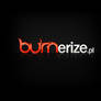 www.burnerize.pl - Logo