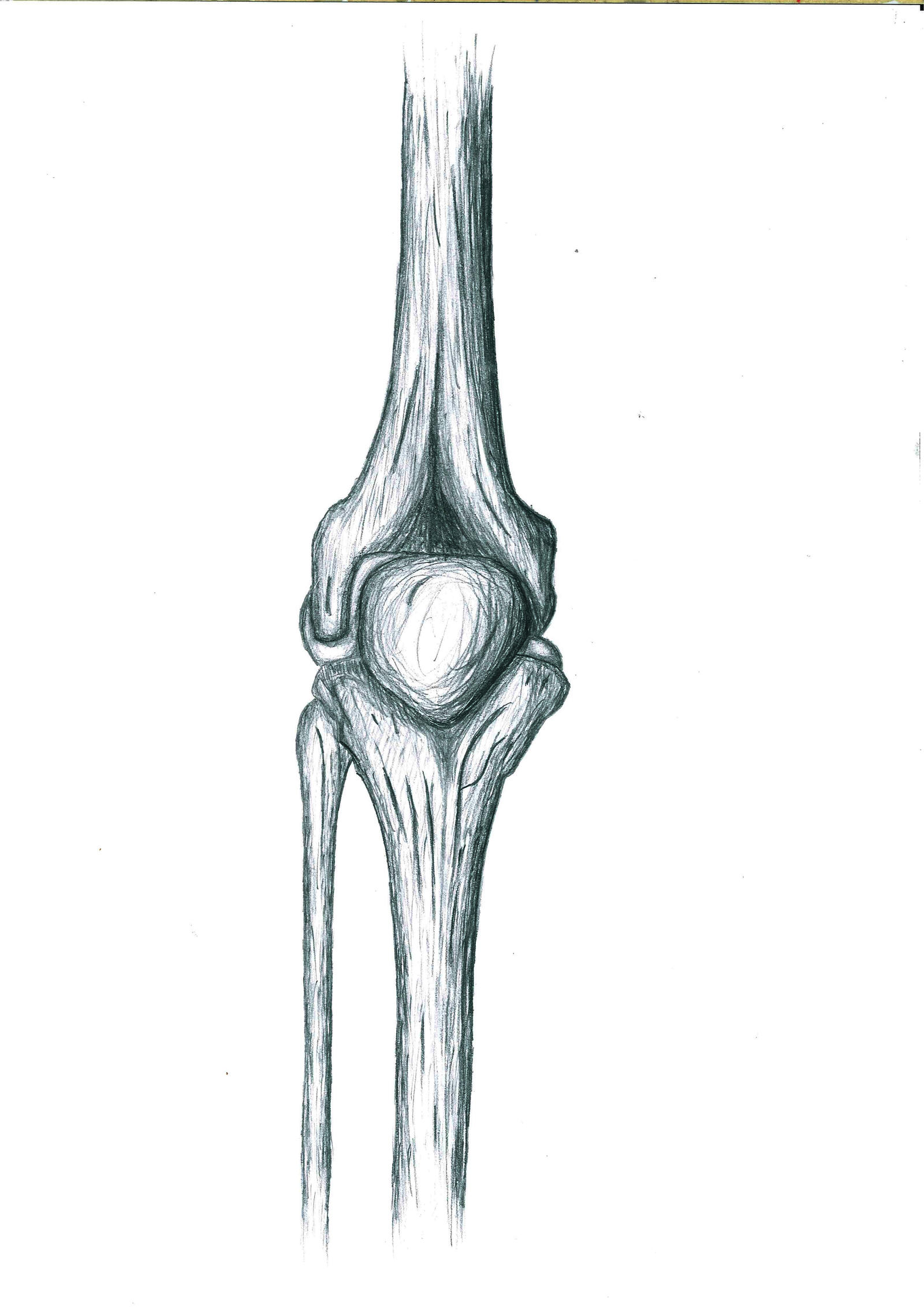 Deviantart Knees Knee by DarknessKovu on DeviantArt