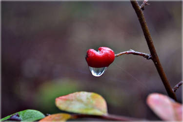 Rainy day in Sweden