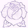 Traditional Rose