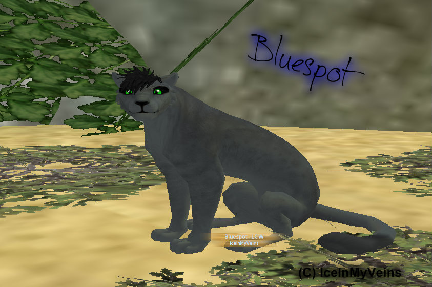 Bluespot