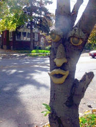 Face on a tree.