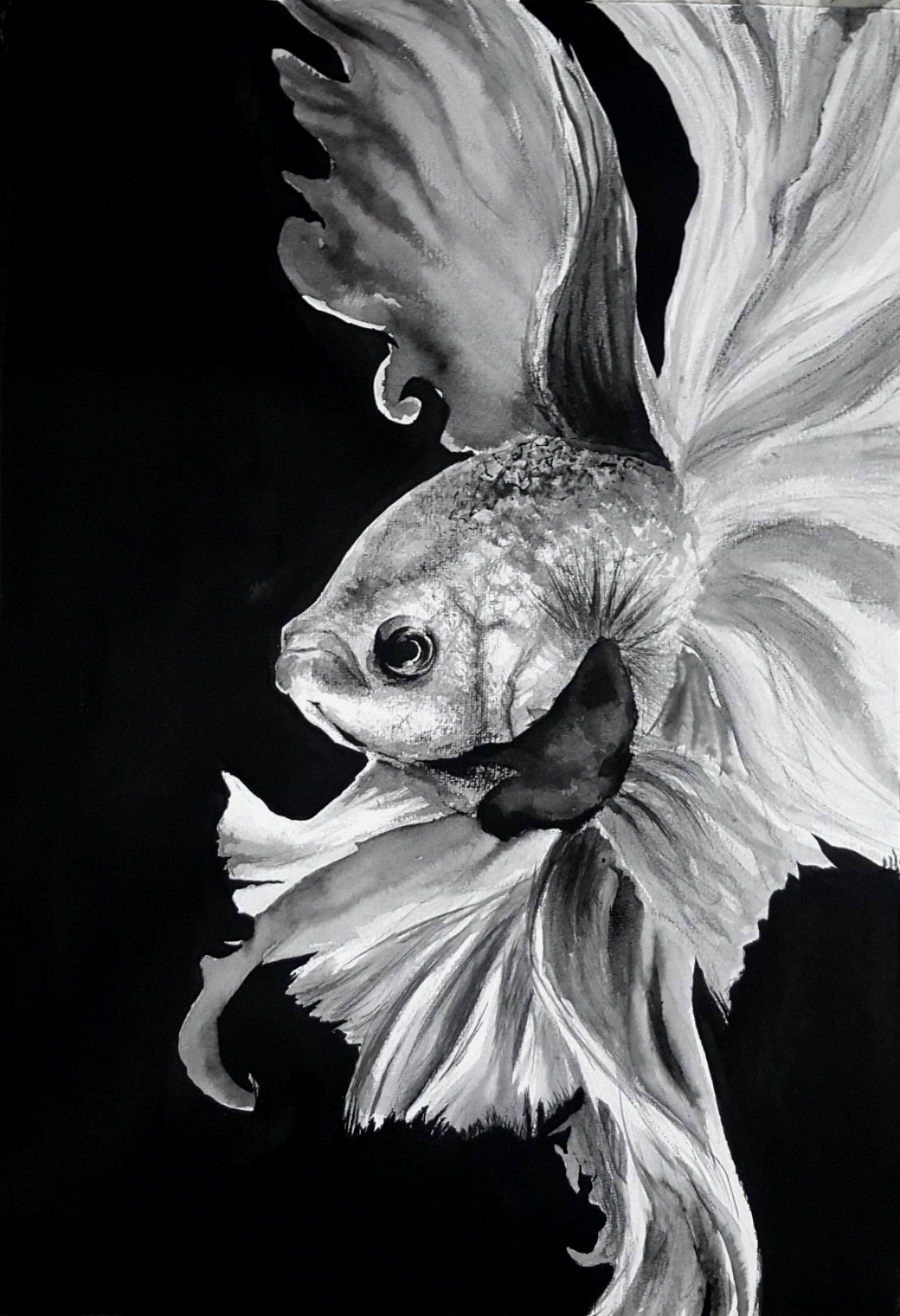 Ink Fish | Swimming INk by Sofie373 on DeviantArt