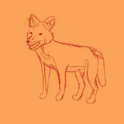 Dhole WIP