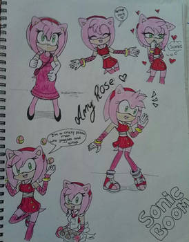 sonic boom: amy rose