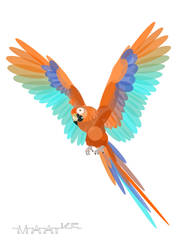 Vector Parrot