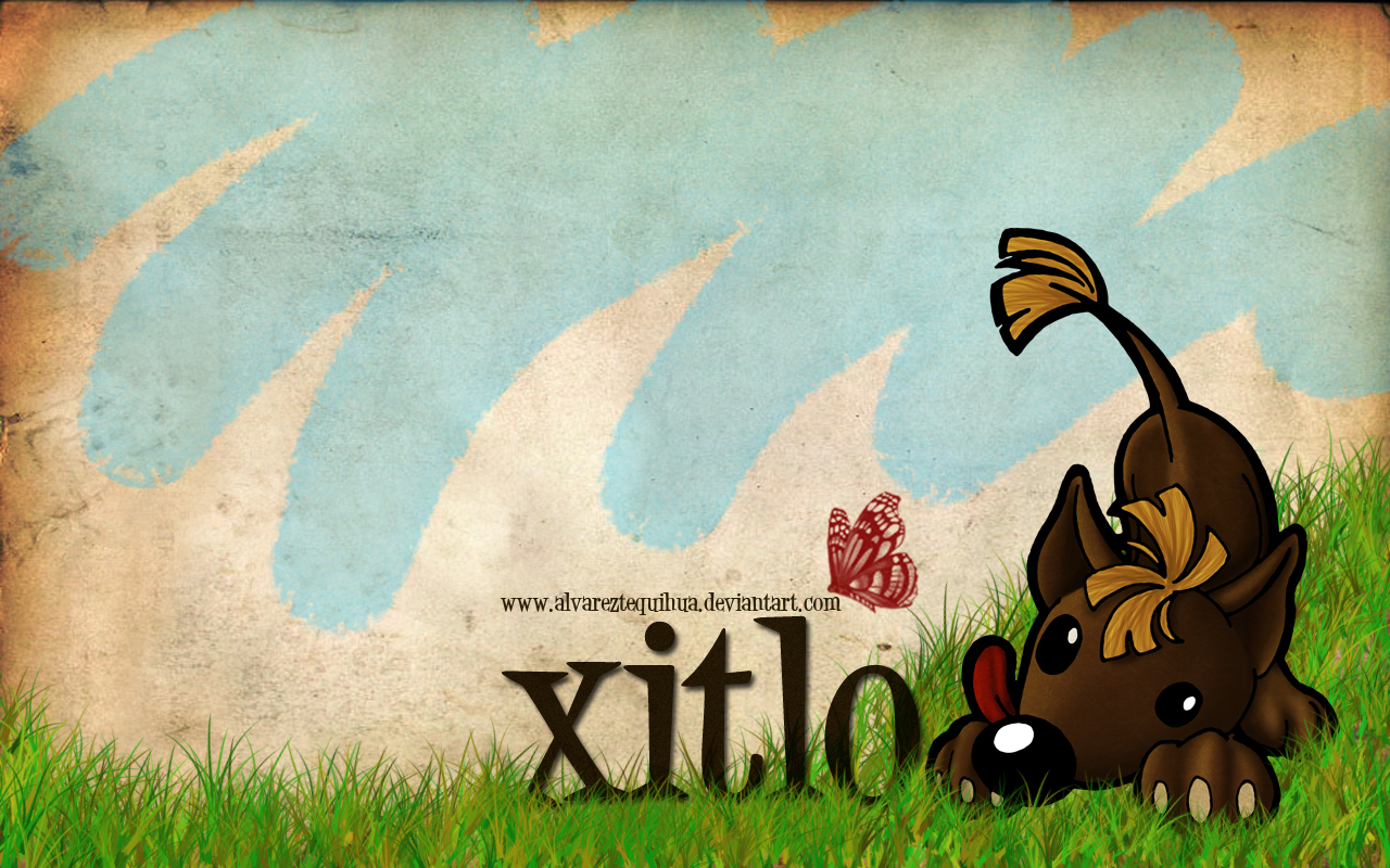 xitlo wallpaper