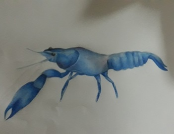 Crayfish