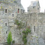 moat - castle of Vitre