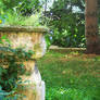 birds watering place