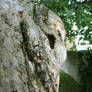 tree ghost
