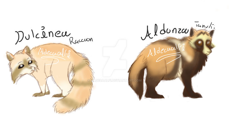 Tamiu Racoon Raccoon and Tanuki by Aldecaalfi on DeviantArt