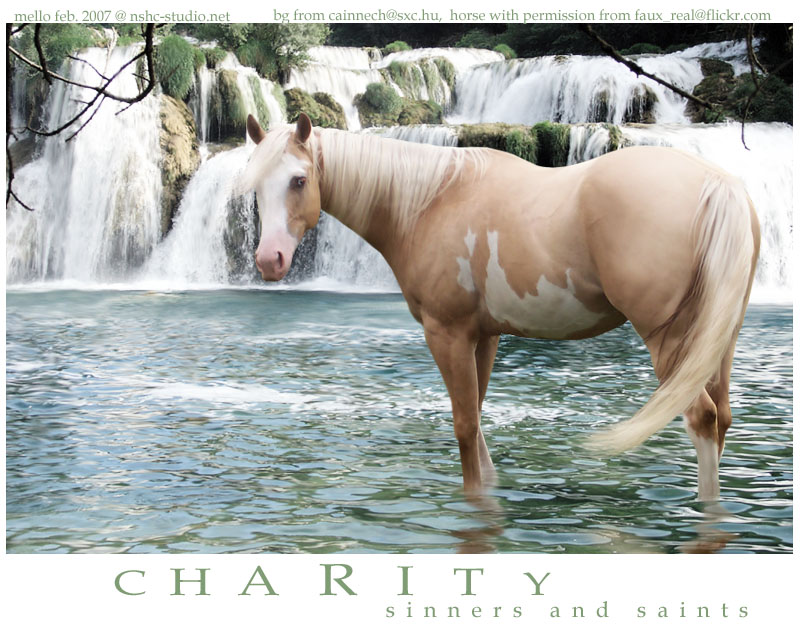 Charity