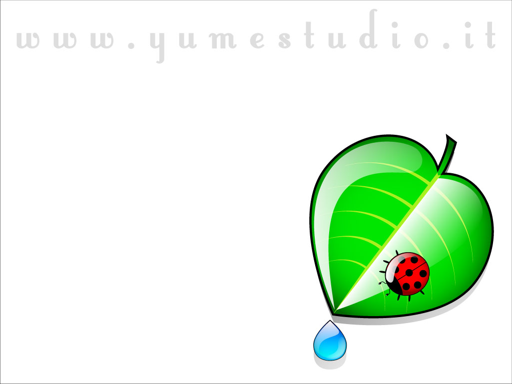 Lady bug wallpaper