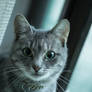 Lady with beautiful eyes