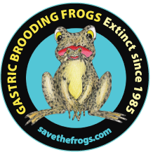 Gastric Brooding Circle by savethefrogs on DeviantArt