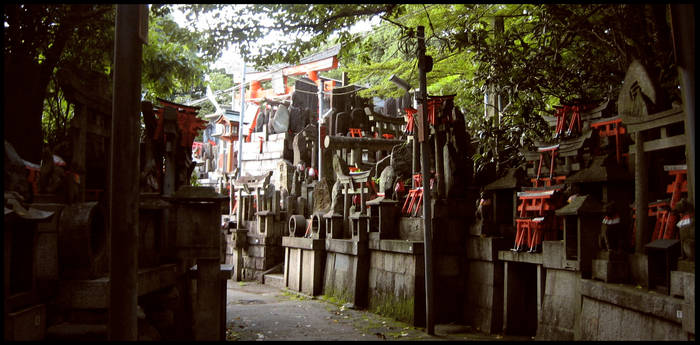 Japan Photo - Shrine