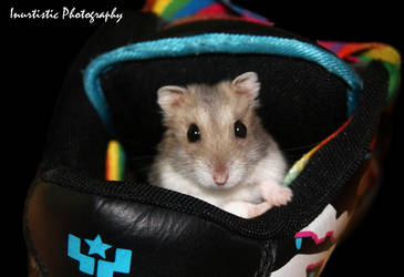 Im in your shoe :3