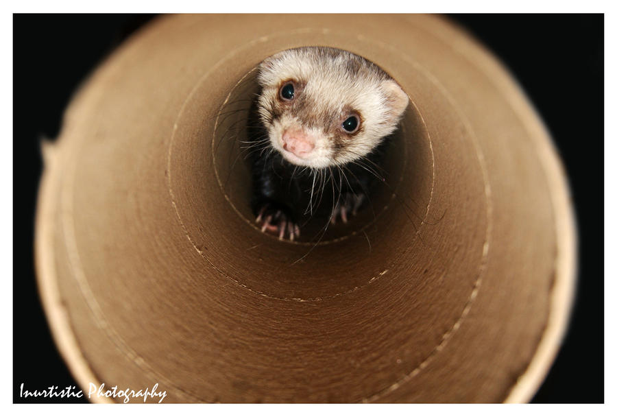 In the tube