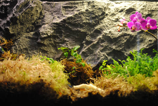 Vivarium