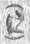Fox And Raven by Nayalda