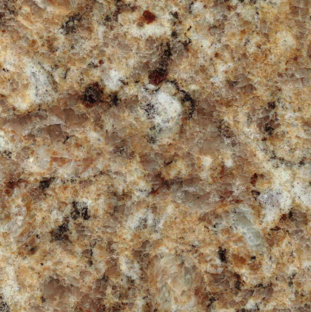 Brown White Granite