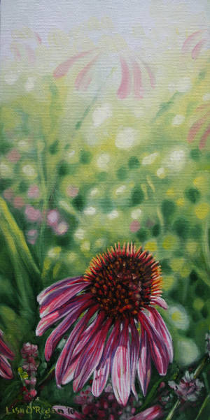 Echinacea