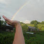 Catching A Rainbow