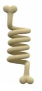 Spring Bone by stupidbear190 on DeviantArt