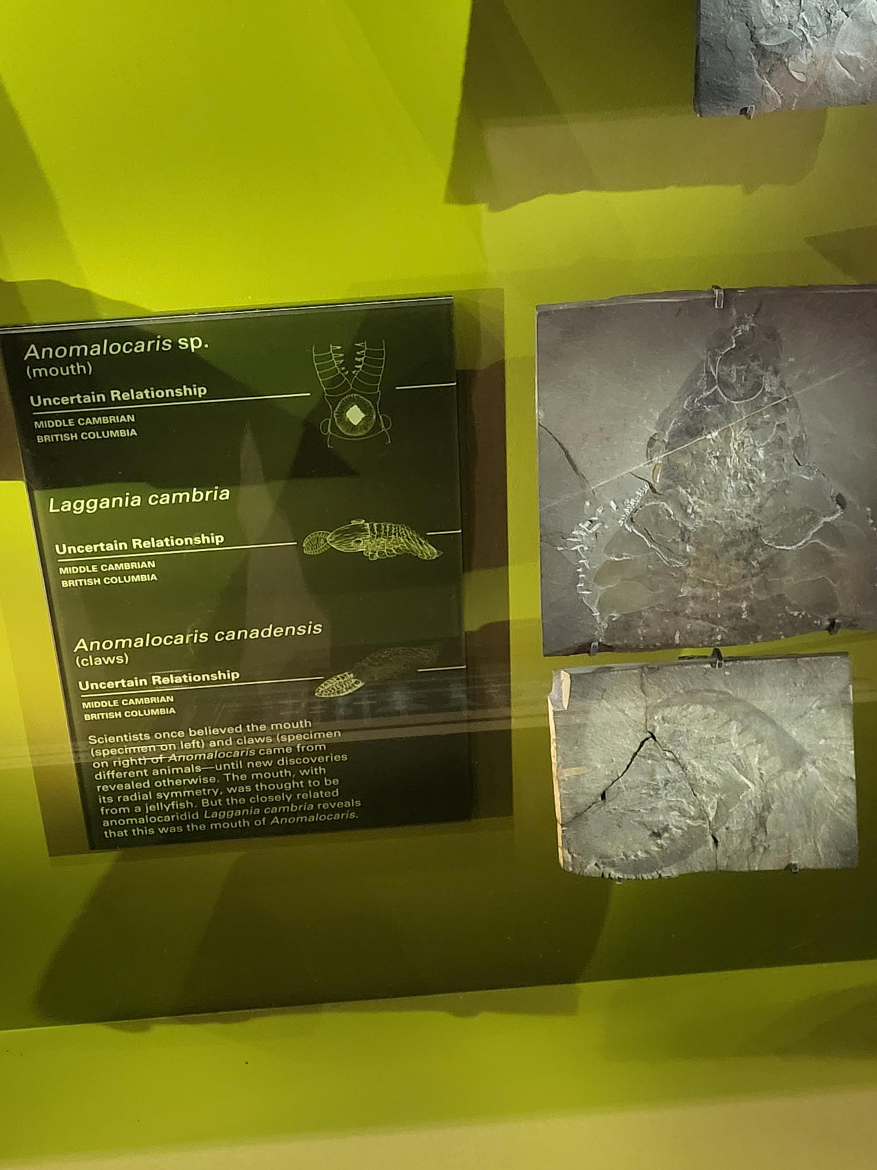 Unveiling The Mystery: Valencia'S 1094 Conqueror - r5hp3ph