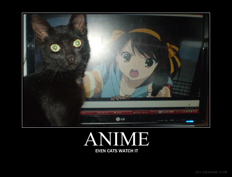 My Cat is an Otaku D: