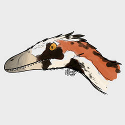 Sparrow Velociraptor