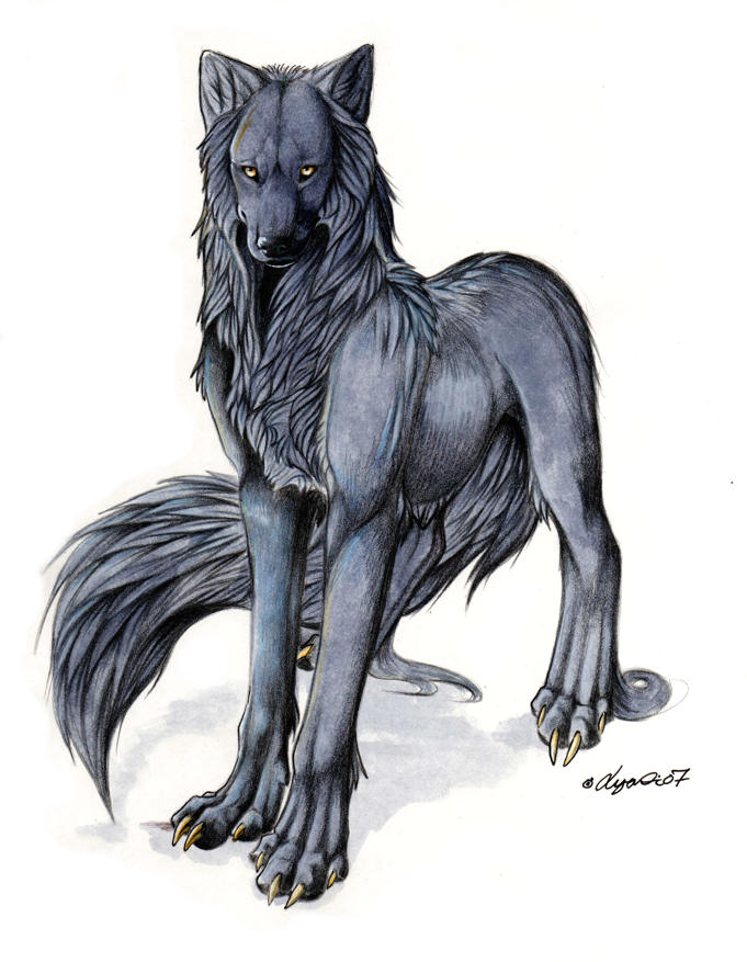 Featured image of post Alpha Male Anime Wolf See more ideas about anime wolf fantasy wolf wolf art