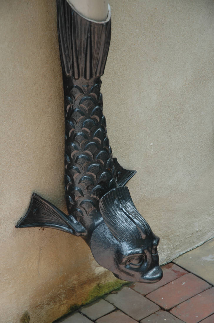 Spout Fish Fish Spout by S-RADX on DeviantArt