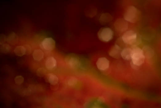 Bokeh1