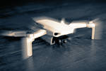 Portrait of a Drone by dATripper