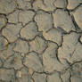 Dried up mudd 6