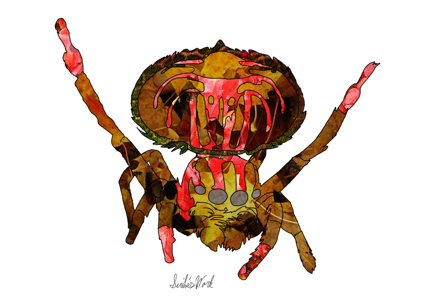 Spider Insect Deviantart Spider by ScribePuffin on DeviantArt