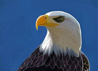 Eagle