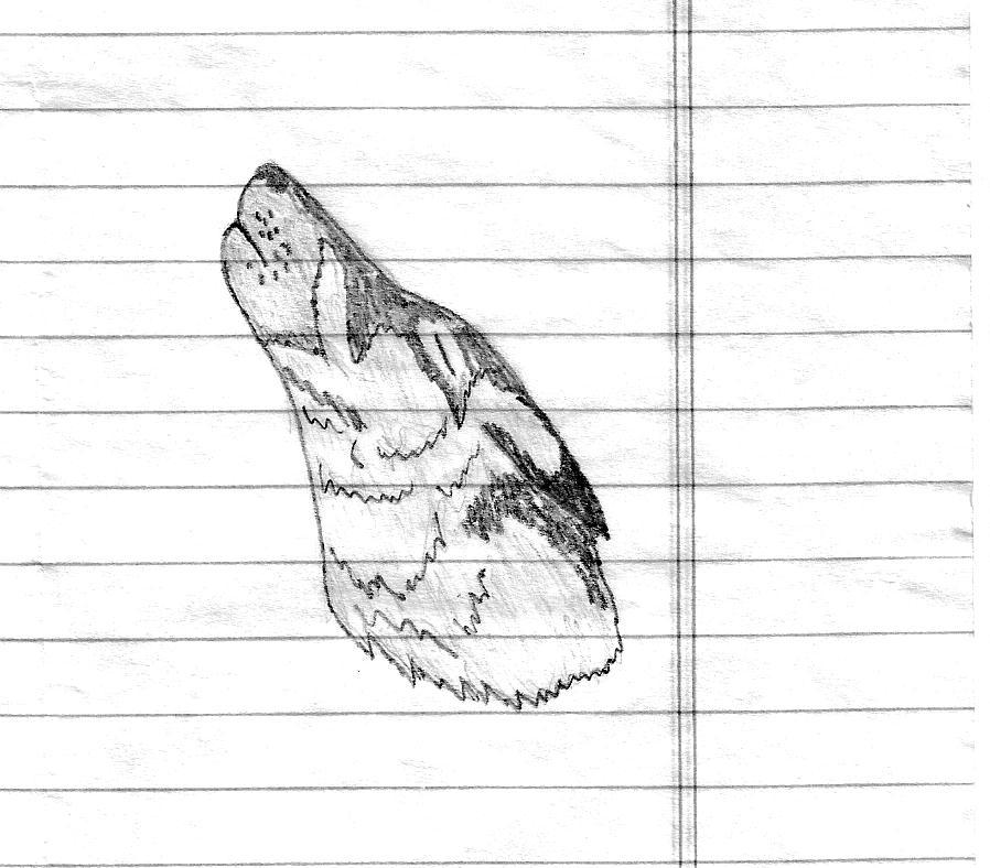 Howl Wolf by gaerwolf on DeviantArt
