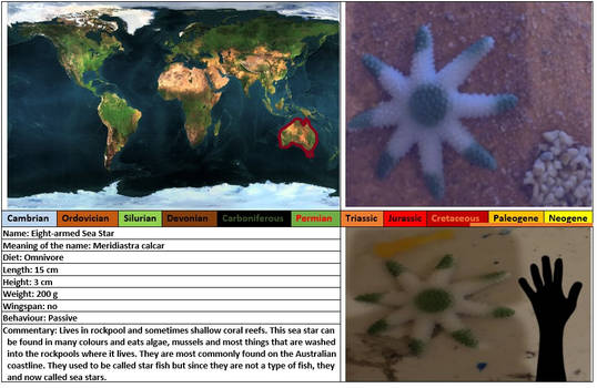 Eight-armed Sea Star profile