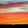 Wild Sky Stock 3