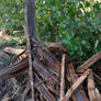 Once a Bridge
